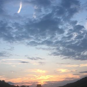 Meet your Posher, Braxton